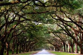 Isle of Hope